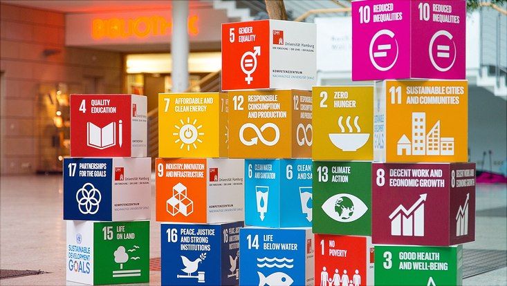 All SDG's (Evaluation Activity) - Connecting the SDGs
