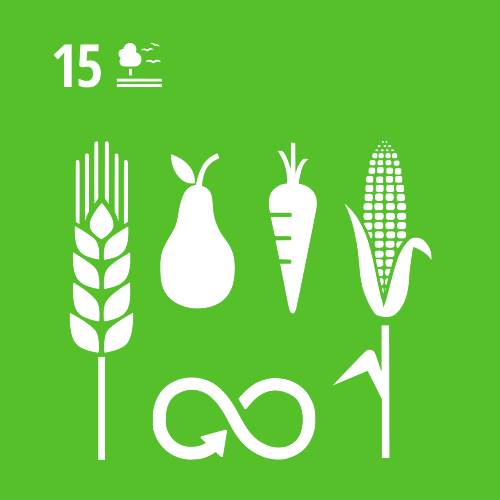 Alimentos ecológicos