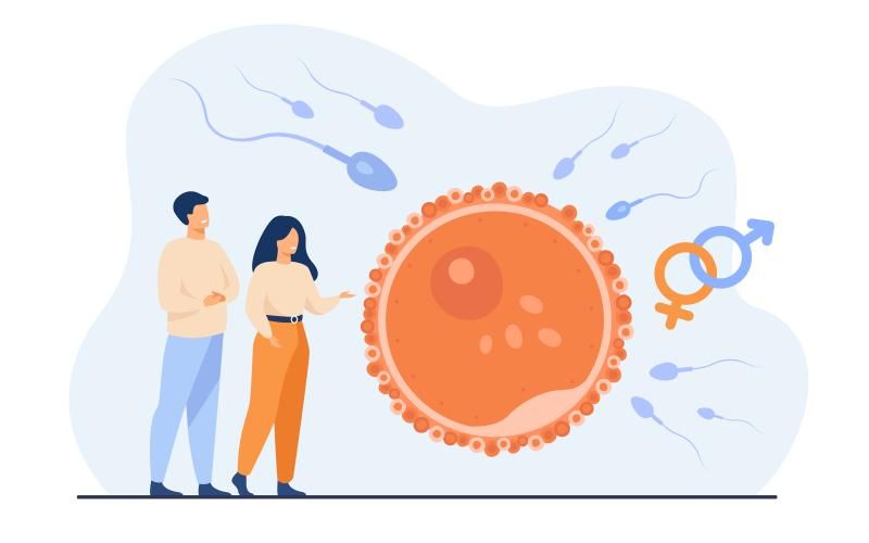 SDG 3 - Sex & reproductive health systems / World differences
